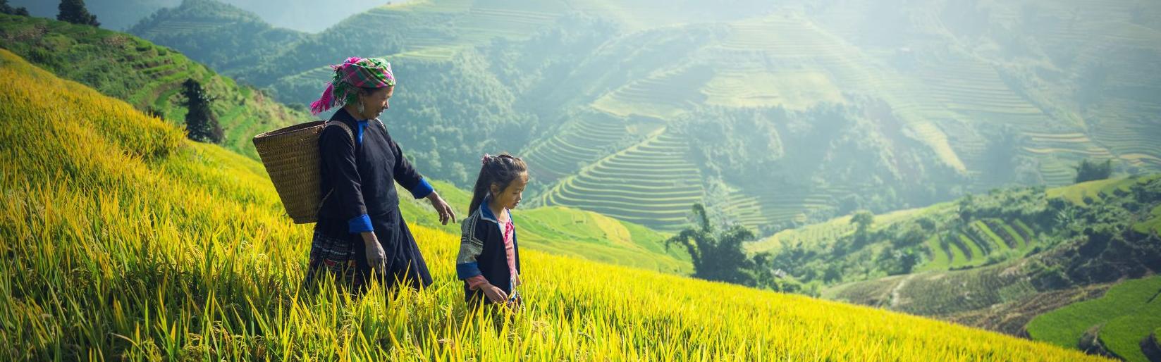 Sage Family Southeast Asian Studies Scholarship